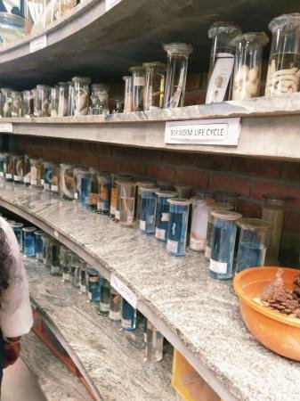 Biology Lab