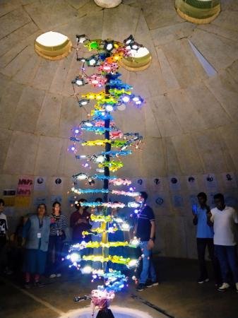 DNA structure